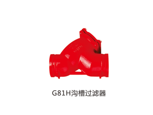 G81H溝槽過濾器